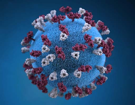Virus coronavirus 512x400 1