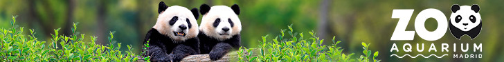 728x90 banner zoo