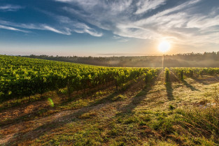 Tuscany 428041 960 720