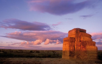 Tierra de campos
