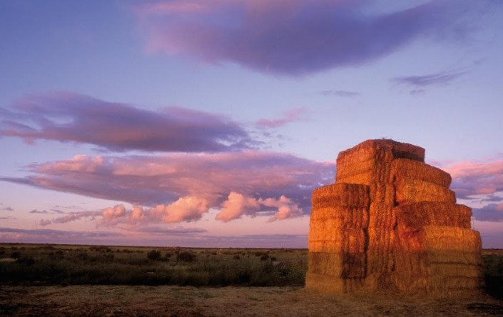 Tierra de campos