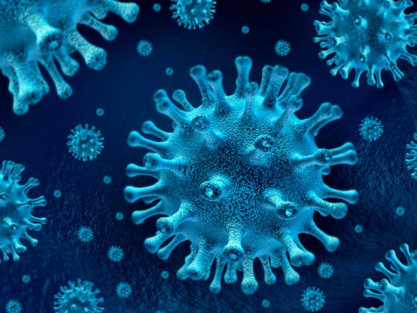 Una vacuna para el nuevo coronavirus de china esta en proceso