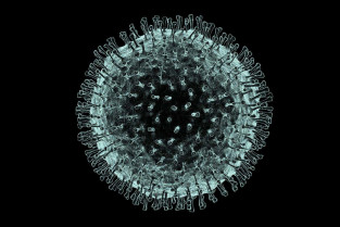 F0070229 coronavirus artwork spl