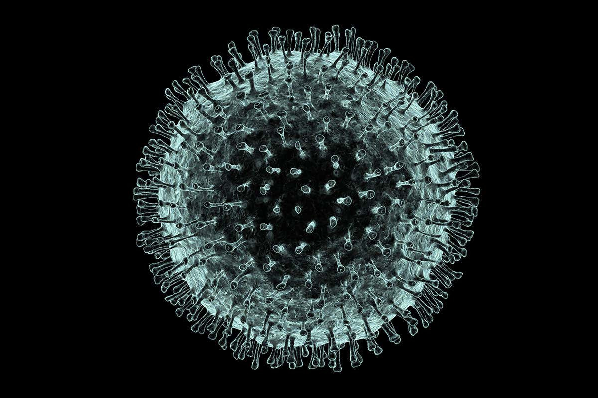 F0070229 coronavirus artwork spl