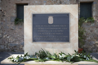 20200727 HOMENAJE CYL COVID 124