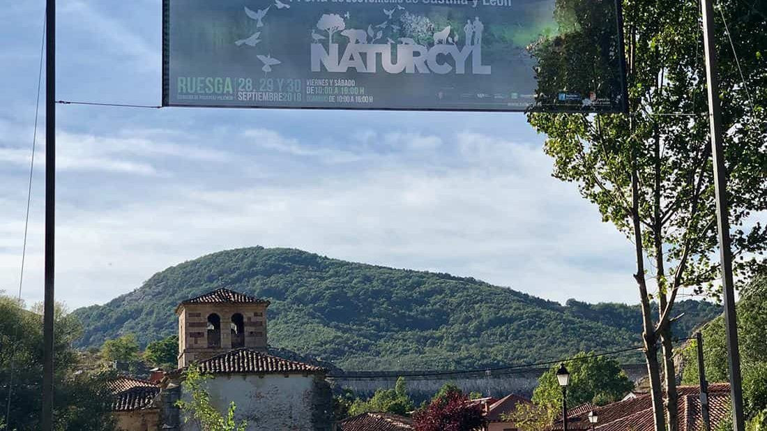 Cropped NATURCYL Ruesga 2019 min