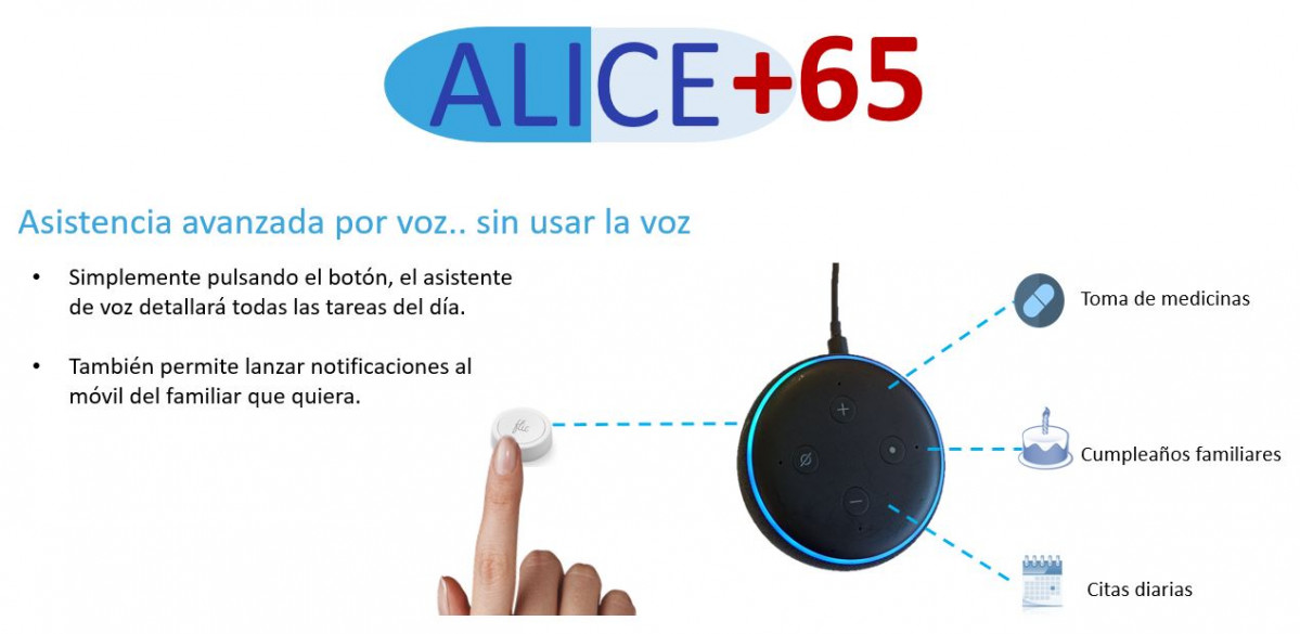 Alice 65   IP