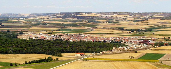 Pesquera de duero