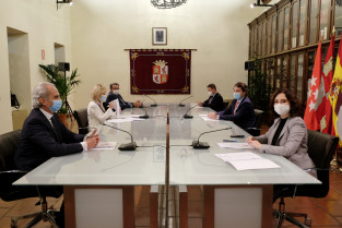 20201028 REUNION CYL   MADRID   CASTILLA LA MANCHA (15)