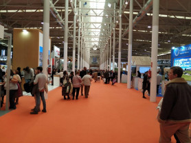 77004076 603016650505109 9024801267670581248 n 1024x768 1