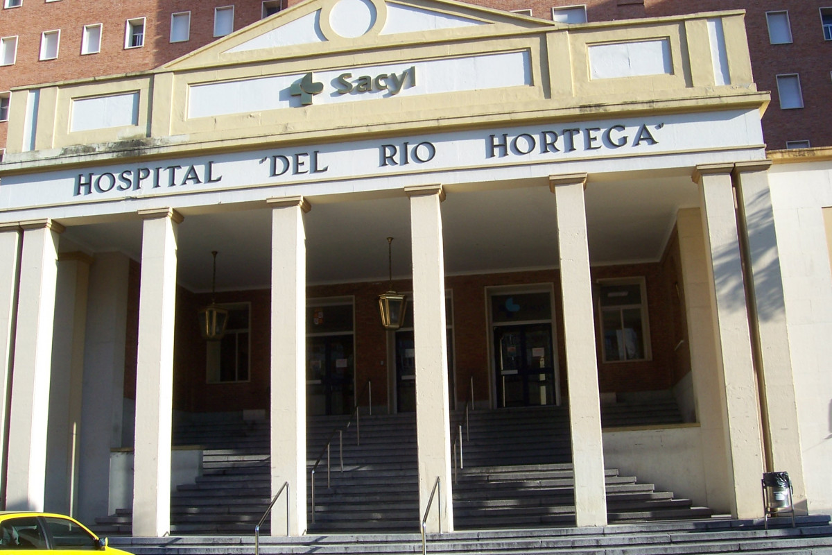 Valladolid hospital Rio Hortega 06 lou