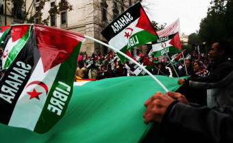 5174846798 8262449f67 b