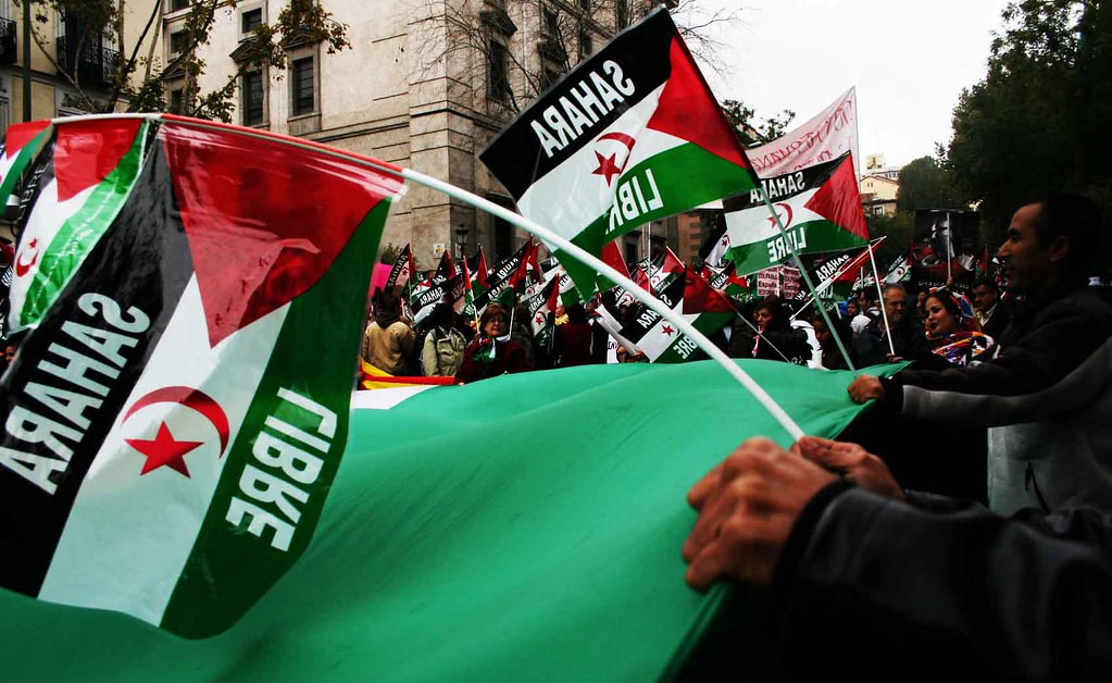 5174846798 8262449f67 b