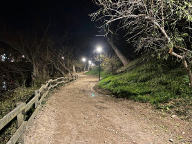 Foto 2 nocturna