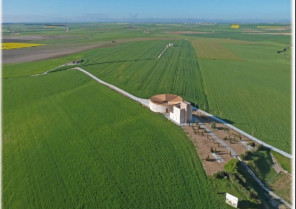 Sin título 1024x723