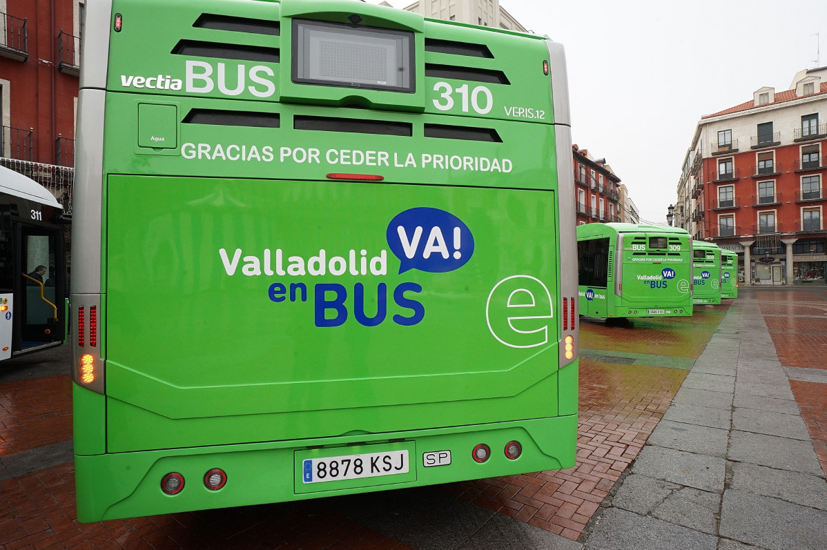 BUSES verdes