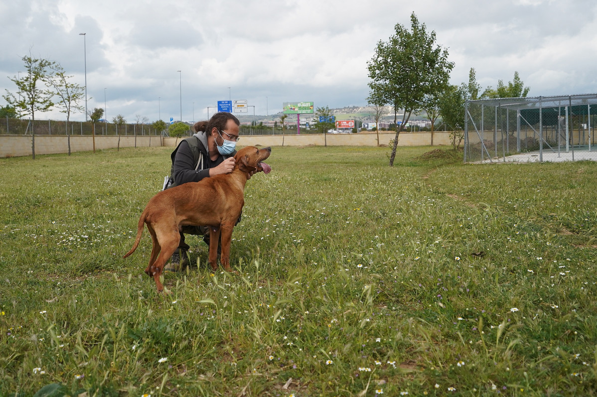 Centro Canino. Can