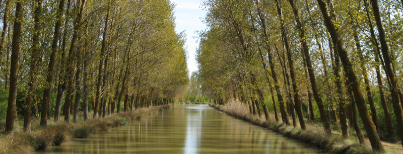 800px Medina de Rioseco (Valladolid) Canal de Castilla, ramal de Campos (RPS 03 05 2009)