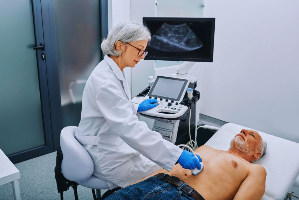 Simulador de ecografía   IP